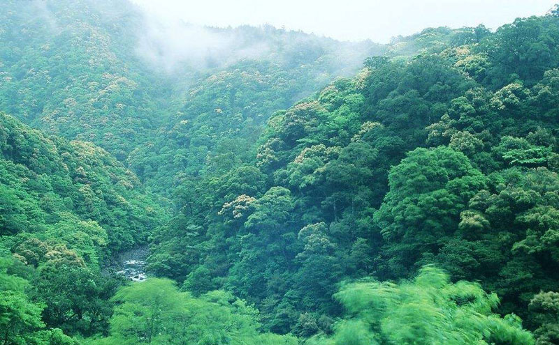 1540366589109321.jpg 3.jpg