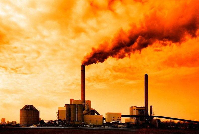 1541381167577099.jpg 101.jpg