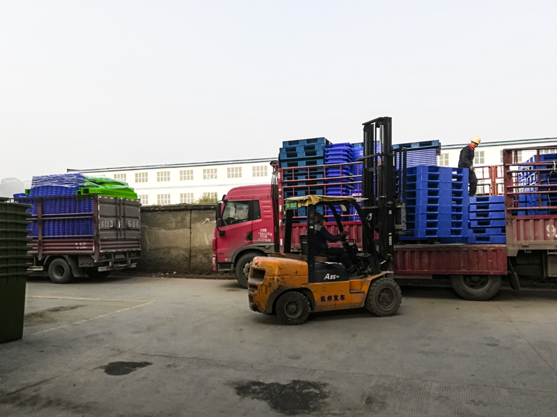 1548486230971953.jpg 05.jpg